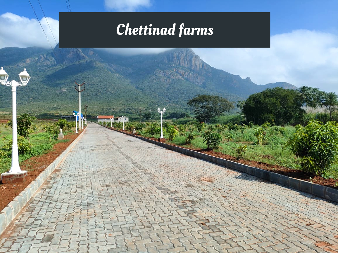 Chettinad farms